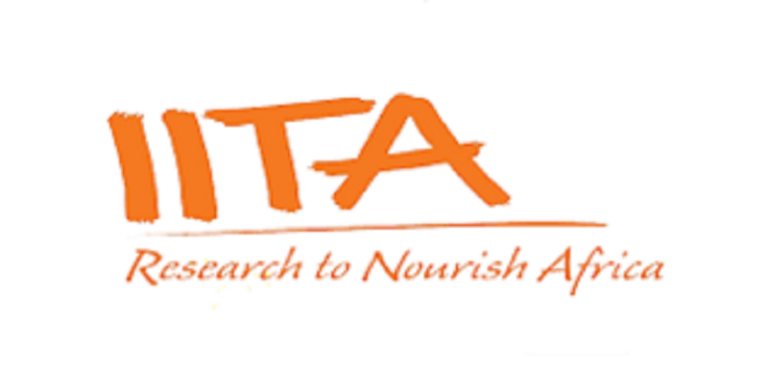 Long Internationale Iita Recrute Pour Ce Poste Novembre