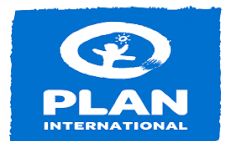 Long De D Veloppement Et Humanitaire Plan International Recrute Pour