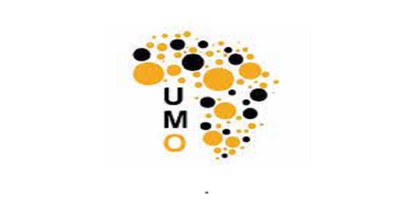 UMO INTERIM Recrute Pour Ce Poste 05 Mars 2024 YOP L FRII