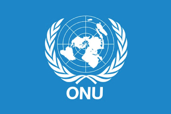 L’ONU recrute pour ce poste (18 Octobre 2021) - YOP L-FRII