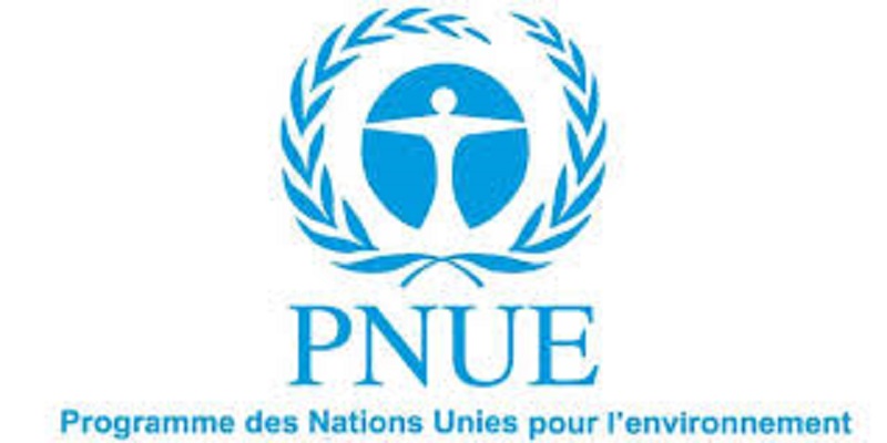 Le Programme des Nations Unies pour l'environnement (PNUE) recrute pour ce poste (10 Mars 2022)