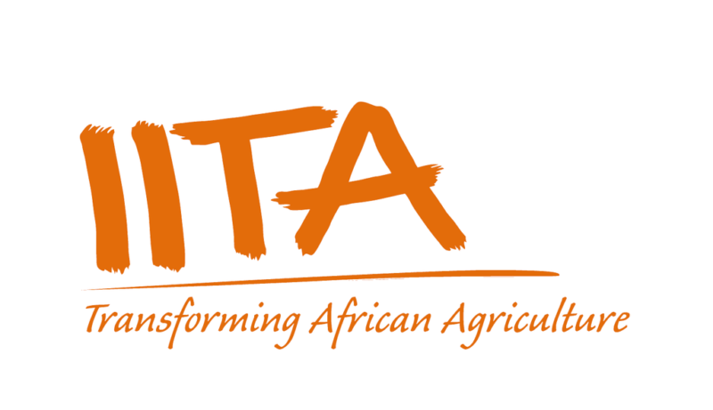 L'Institut International d'Agriculture Tropicale (IITA) recrute pour ce poste (17 Mai 2022)