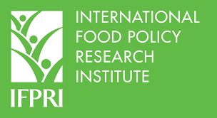 Le Bureau de l'Afrique de l'Ouest de recherche sur les politiques alimentaires (IFPRI) recrute pour ce poste (19 Mai 2022)