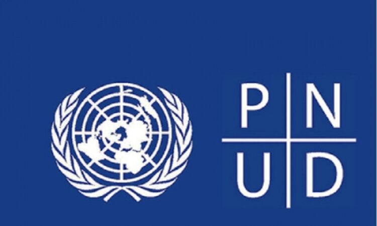 Le PNUD recrute pour ce poste (22 Mai 2022)