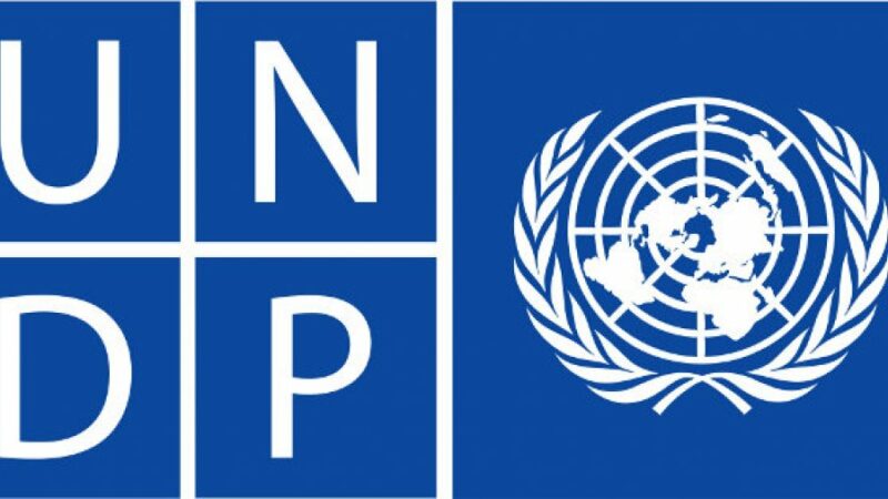 Le Programme des Nations Unies pour le Développement (PNUD) recrute pour ces 04 postes (09 Juin 2022)