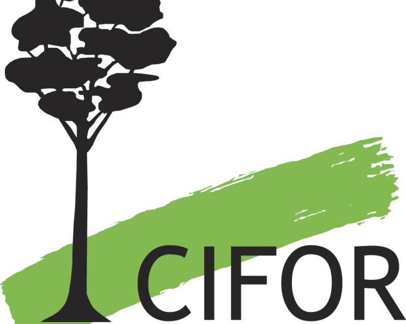 The Center for International Forestry Research (CIFOR) recrute pour ce poste (11 Juin 2022)