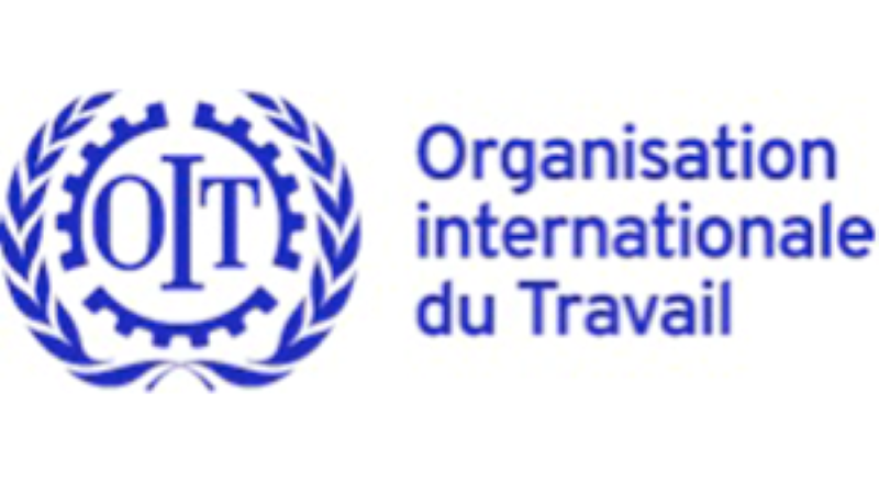 L'Organisation Internationale du Travail (OIT) recrute pour ce poste (25 Juillet 2022)