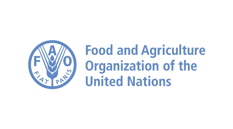 La FAO recrute pour ce poste (08 Juillet 2022)