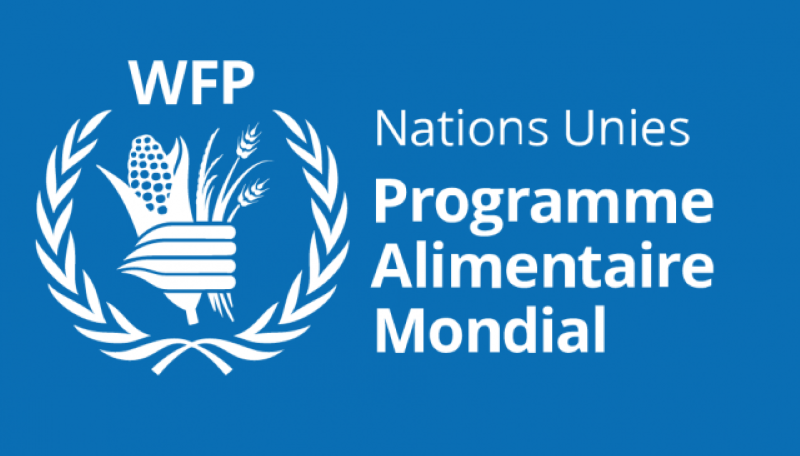 Le Programme Alimentaire Mondial (PAM) recrute pour ce poste (07 Juillet 2022)