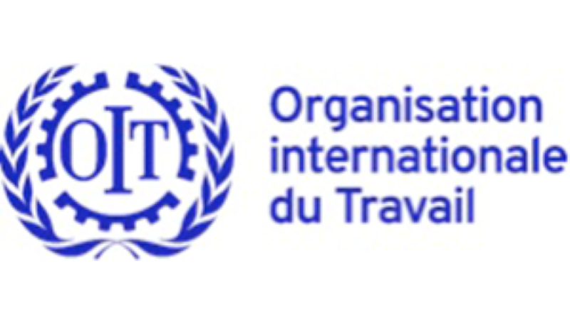 L'Organisation Internationale du Travail (OIT) recrute pour ce poste (14 Août 2022)