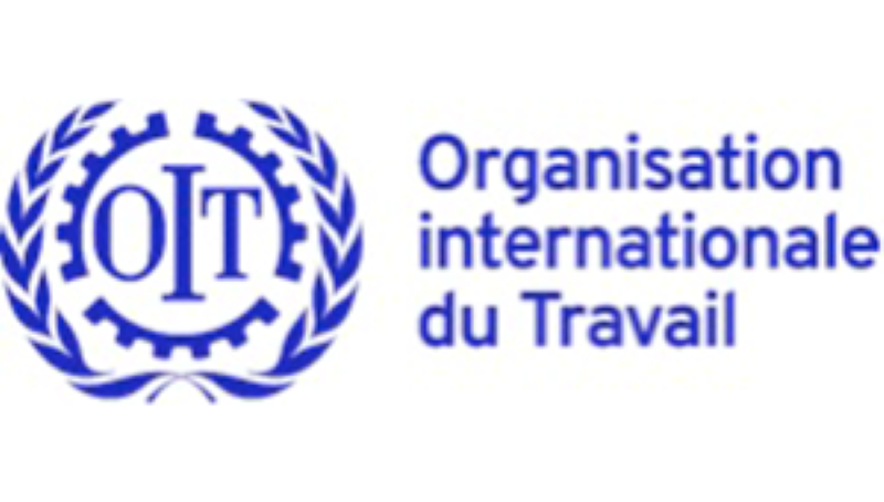 L'Organisation Internationale Du Travail (OIT) Recrute Pour Ce Poste ...