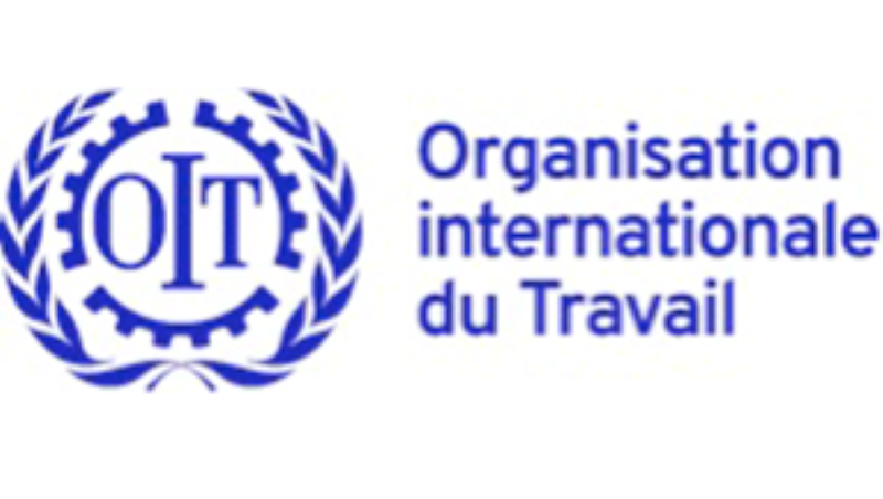 L'Organisation Internationale du Travail (OIT) recrute pour ce poste (18 Août 2022)