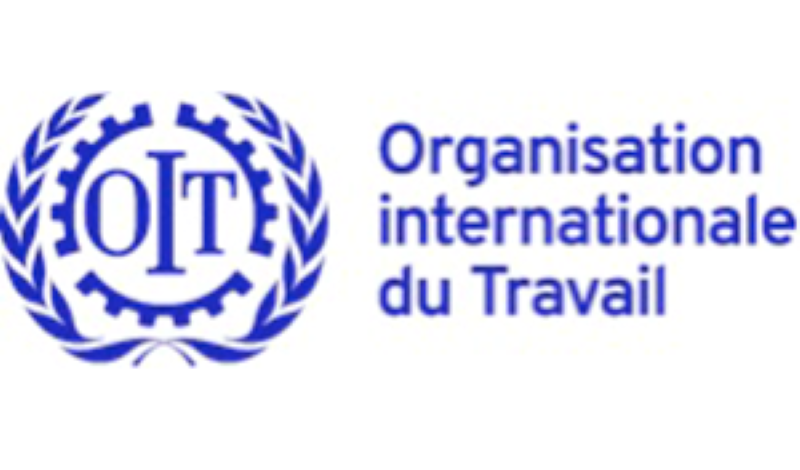 L'Organisation Internationale du Travail (OIT) recrute pour ce poste (20 Août 2022)