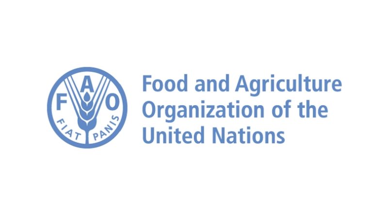 L’Organisation des Nations Unies pour l’alimentation et l’agriculture (FAO) recrute pour ce poste (14 Août 2022)