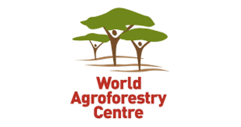 L'ONG World Agroforestry recrute pour ces 02 postes (18 Septembre 2022)