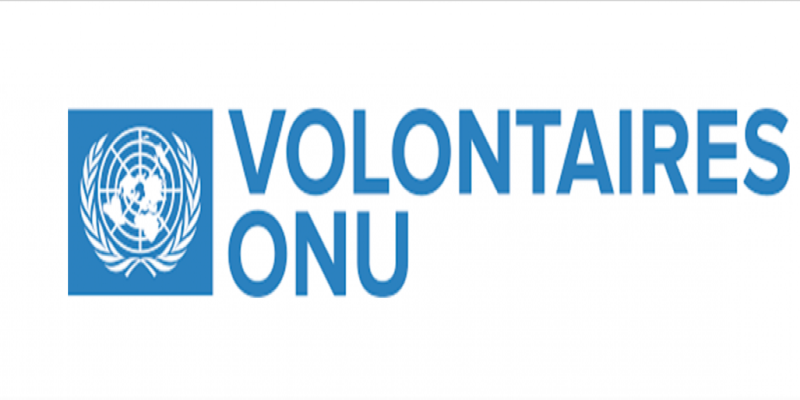 Le Programme des Volontaires des Nations Unies (VNU) recrute pour ces 07 postes (15 Septembre 2022)