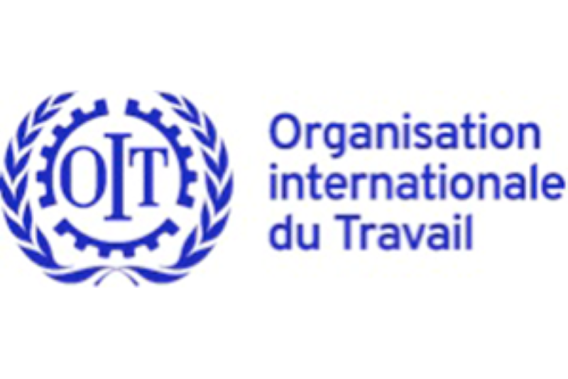 L’Organisation Internationale du Travail (OIT) recrute pour ce poste (19 Décembre 2022)