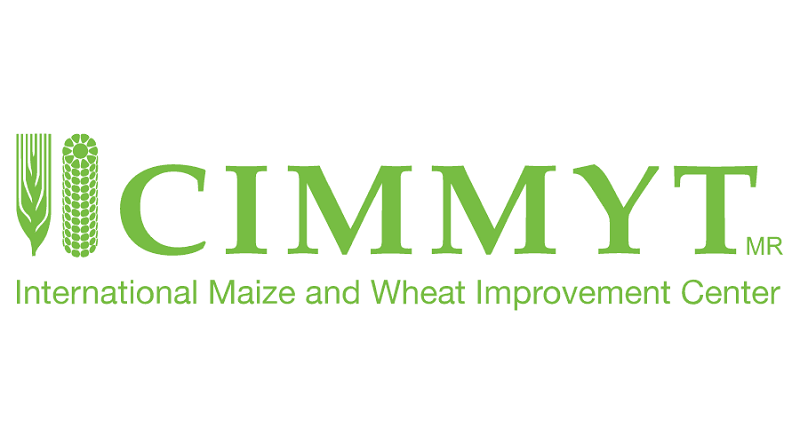 Postulez pour ces opportuntiés au Centre international d’amélioration du maïs et du blé (CIMMYT) - 24 octobre 2026