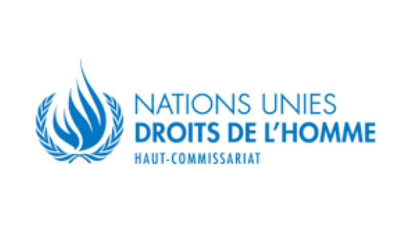 Le Haut-Commissariat aux droits de l’Homme (HCDH) recrute pour ce poste (14 Janvier 2023)