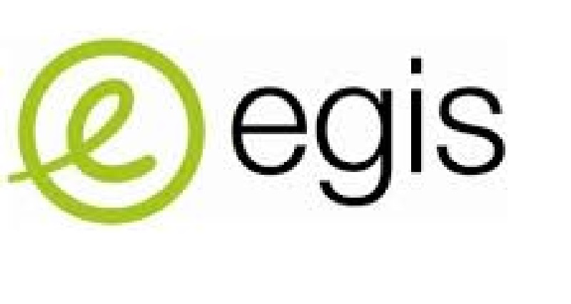 Le groupe international EGIS recrute