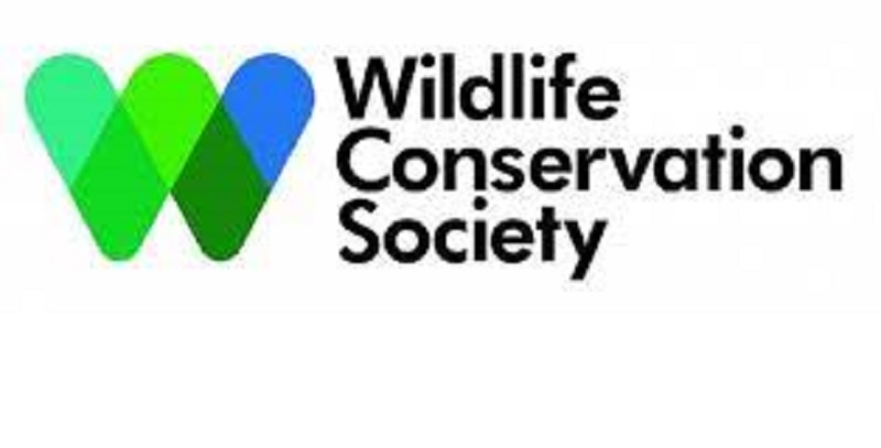 Wildlife Conservation Society (WCS) recrute