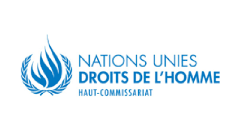 Le Haut-Commissariat aux droits de l’Homme (HCDH) recrute pour ce poste (18 février 2023)