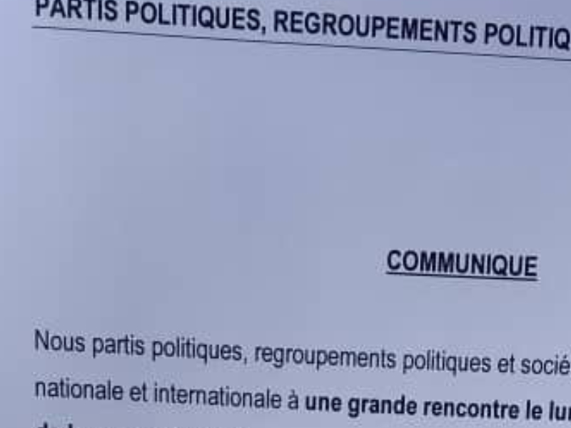 Mali partis politiques réunion