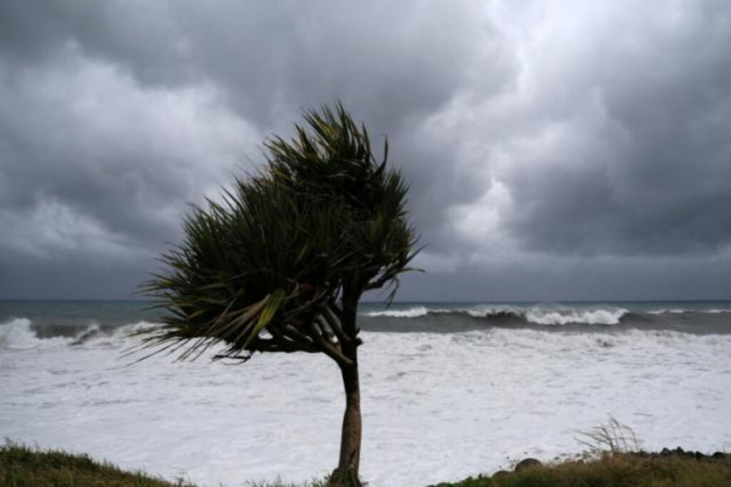 cyclone Freddy