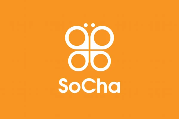 SoCha LLC recrute