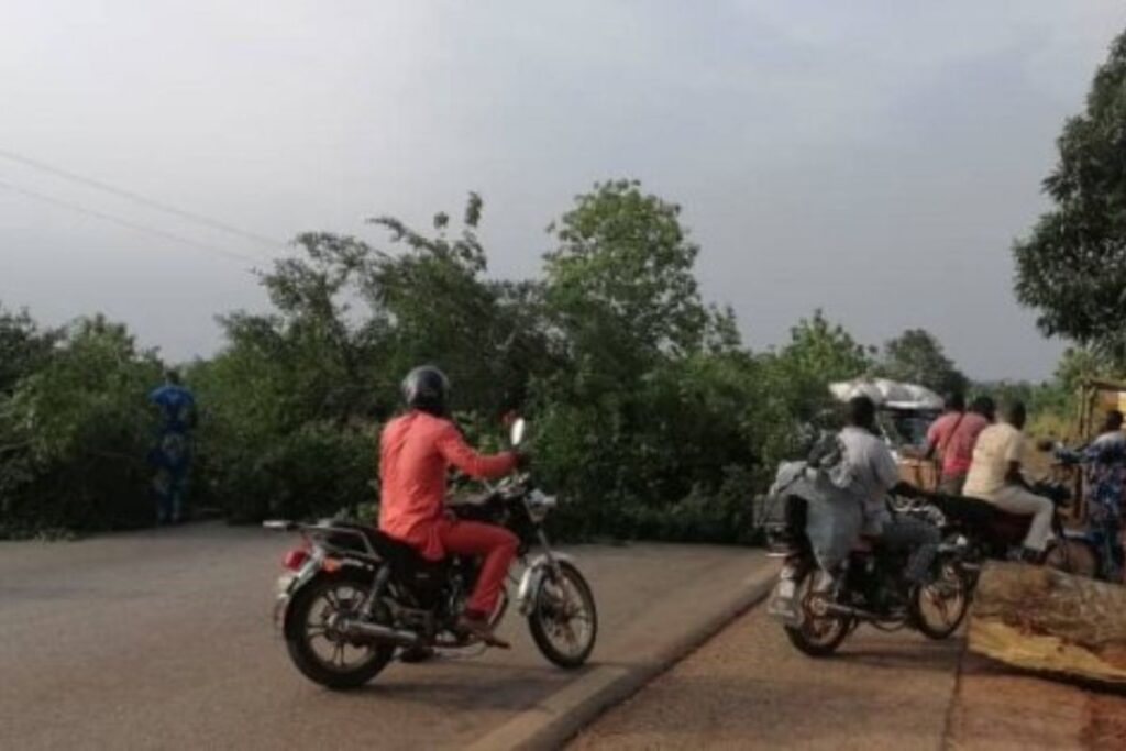 Bénin arbre tué personne