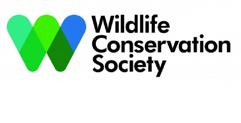 L’ONG Wildlife Conservation Society (WCS) recrute