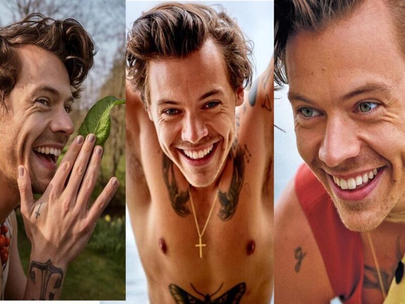 Harry Styles : Le chanteur remporte le prix du sourire le plus beau au monde