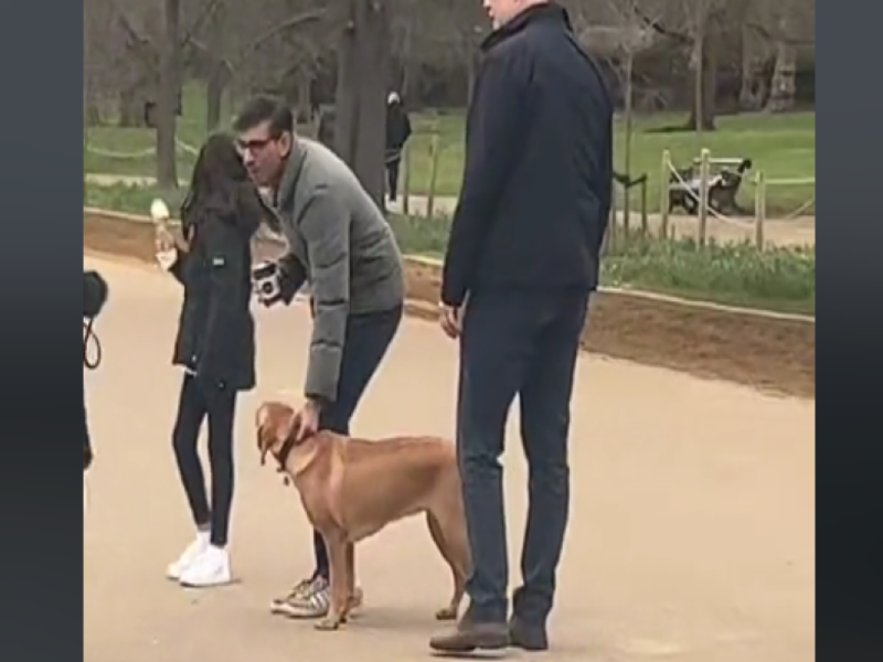 Une vidéo du Premier ministre britannique avec son chien fait scandale