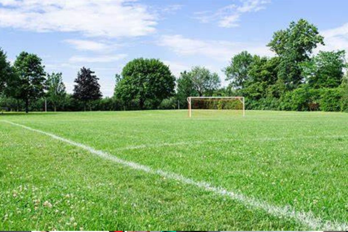 footballeurs