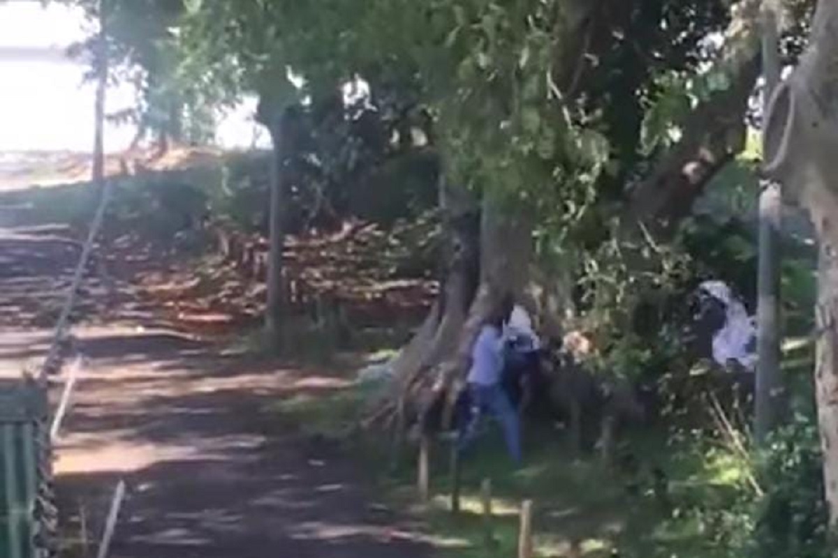 Il surprend un couple en train de faire l'amour et se met à les