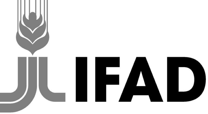 Le Fonds International de Développement Agricole (FIDA) recrute (06 Avril 2023)