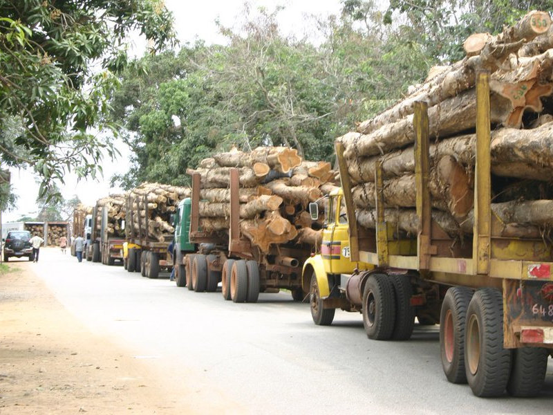 Côte d'Ivoire gouvernement bois