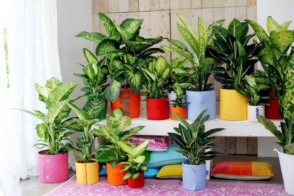 plantes parlent étude scientifique