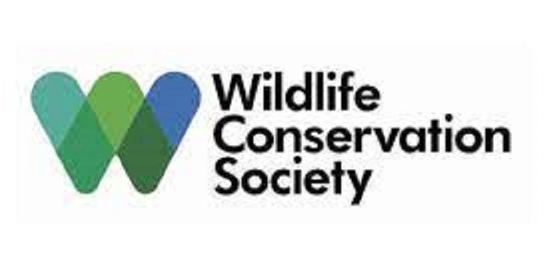 Wildlife Conservation Society recrute