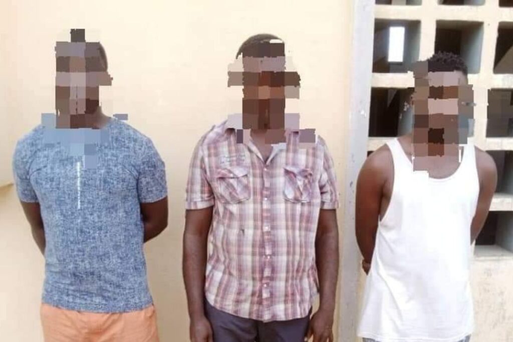 Togo Camerounais arrêtés escroquerie