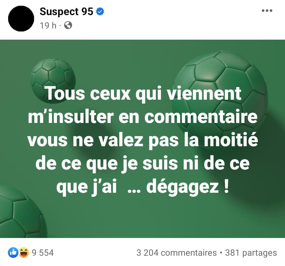 Suspect 95 Syndicat