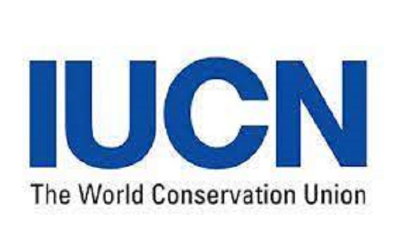 L’UICN recrute un stagiaire