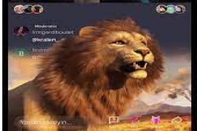 TikTok combien vaut un cadeau "Lion" ? YOP LFRII