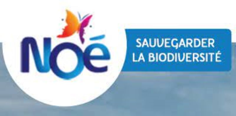 L’Association Française Noé recrute pour ce poste (14 Septembre 2023)