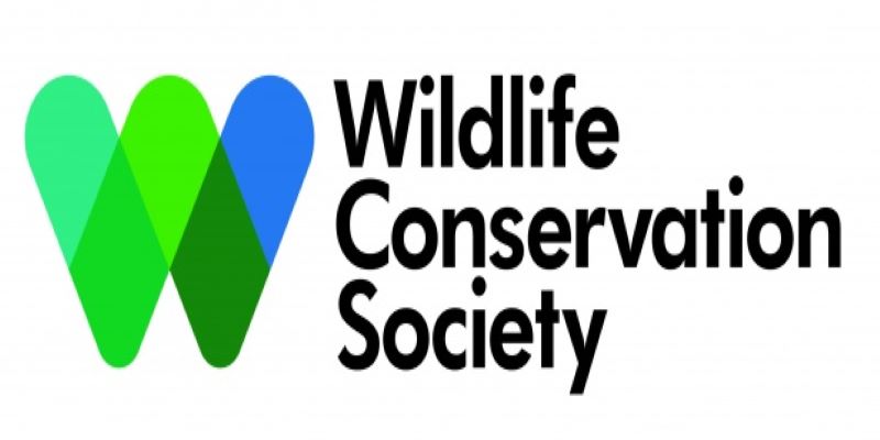 L’ONG Wildlife Conservation Society (WCS) recrute