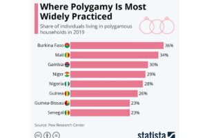 polygamie 