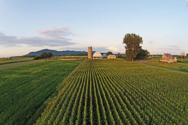 Top 5 des pays africains qui cèdent gratuitement aux étrangers leurs terres agricoles