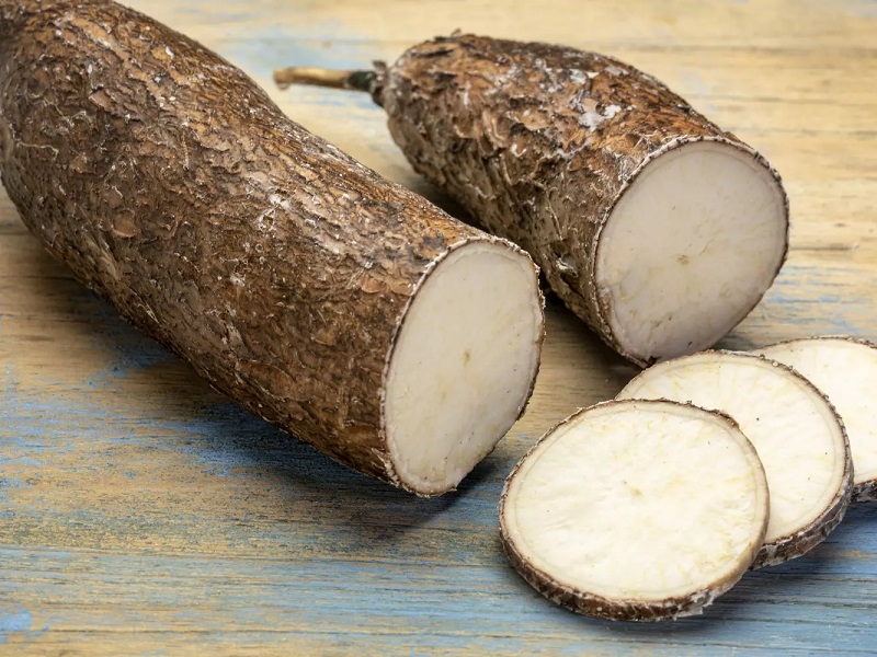 manioc