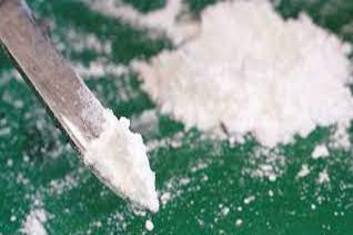 Cocaïne : saisie record de 13 tonnes par les douanes à Dunkerque Insolite : elle cache plus d'un kilo de cocaïne dans son v@gin, la suite va vous surprendre