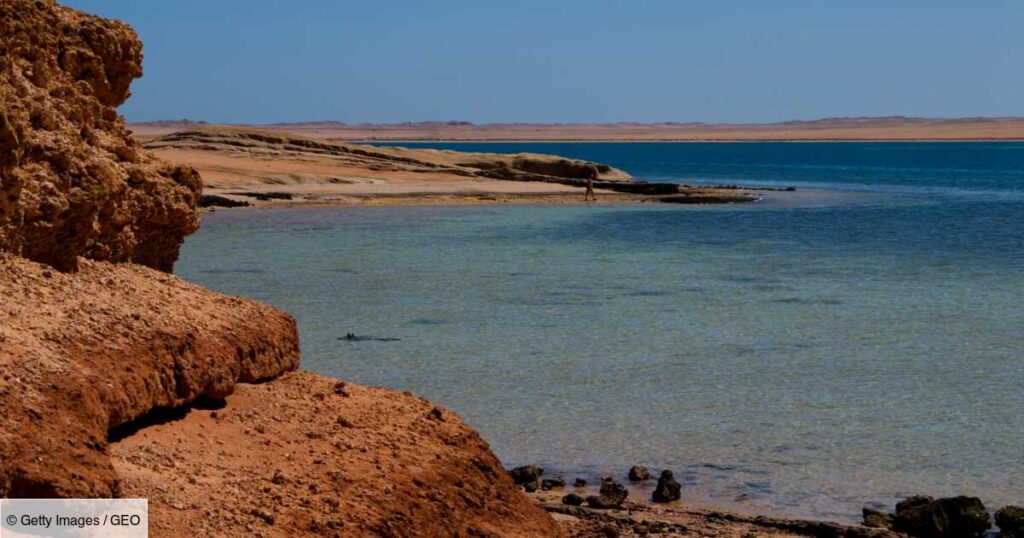 Ces 3 pays rejettent la demande de l'Éthiopie d’accès à la mer Rouge